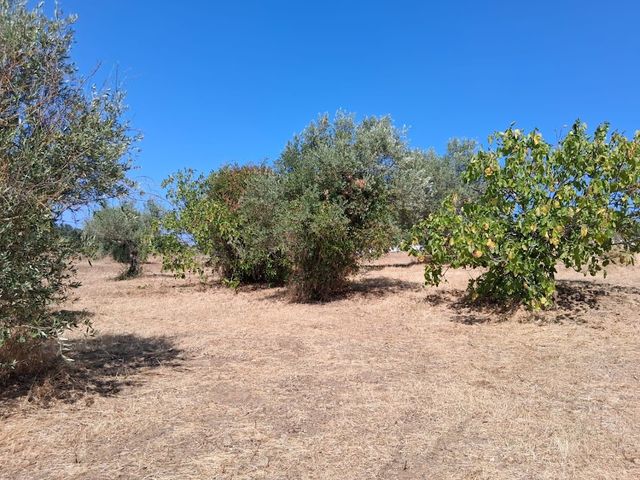 Terreno Urbano - Oportunidade 3 / 5