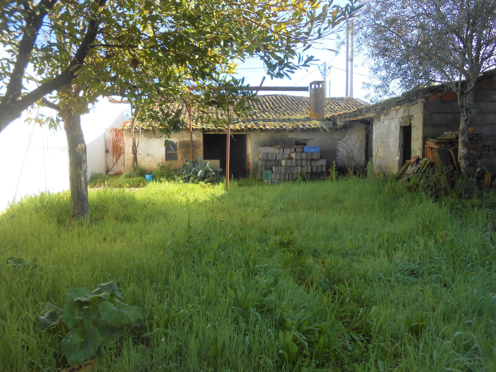 Casa de campo p/reabilitação 1 / 5