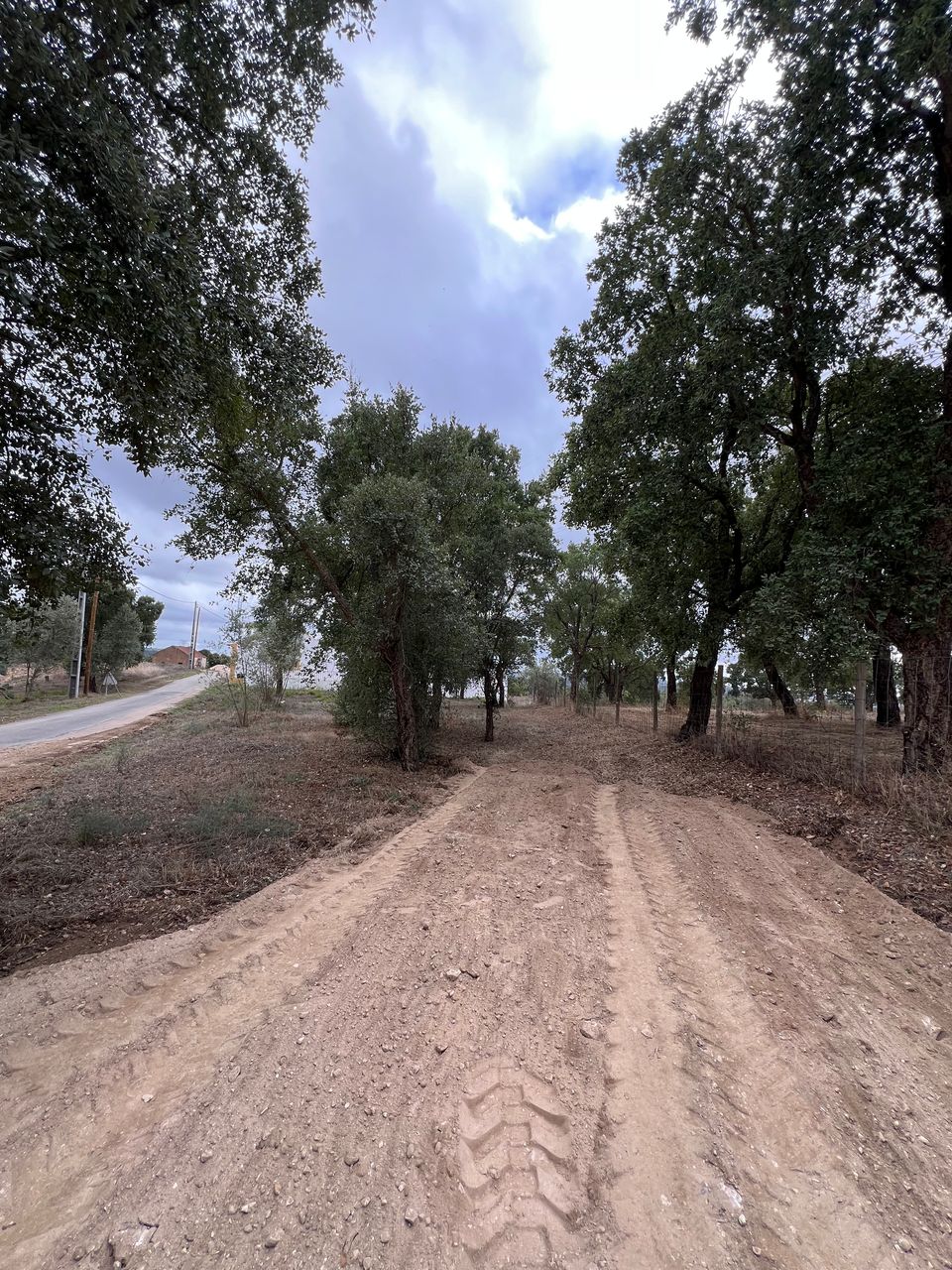 Terreno p/construção 4 / 5