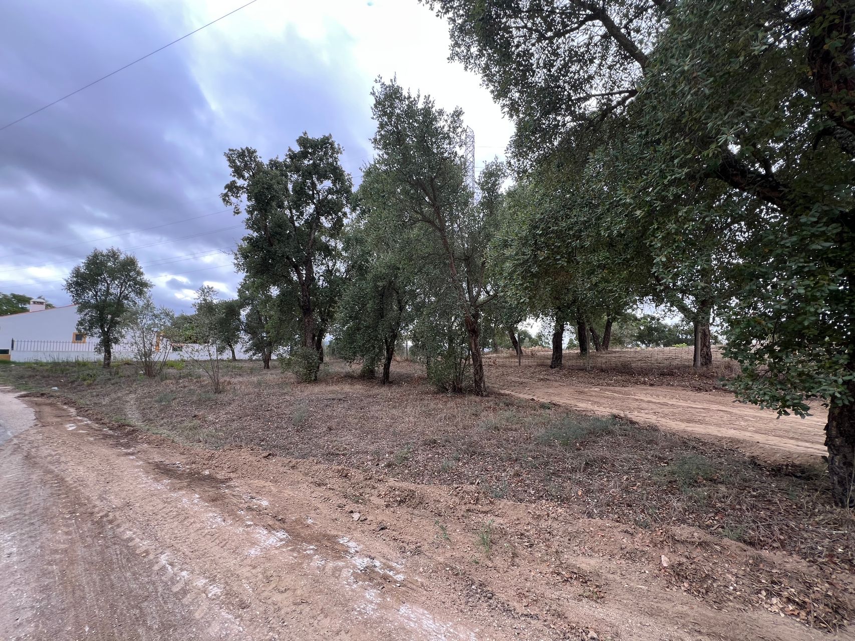 Terreno p/construção 5 / 5