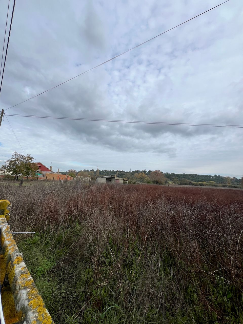 Terreno junto à cidade a pegar com rio Nabão!!  5 / 5