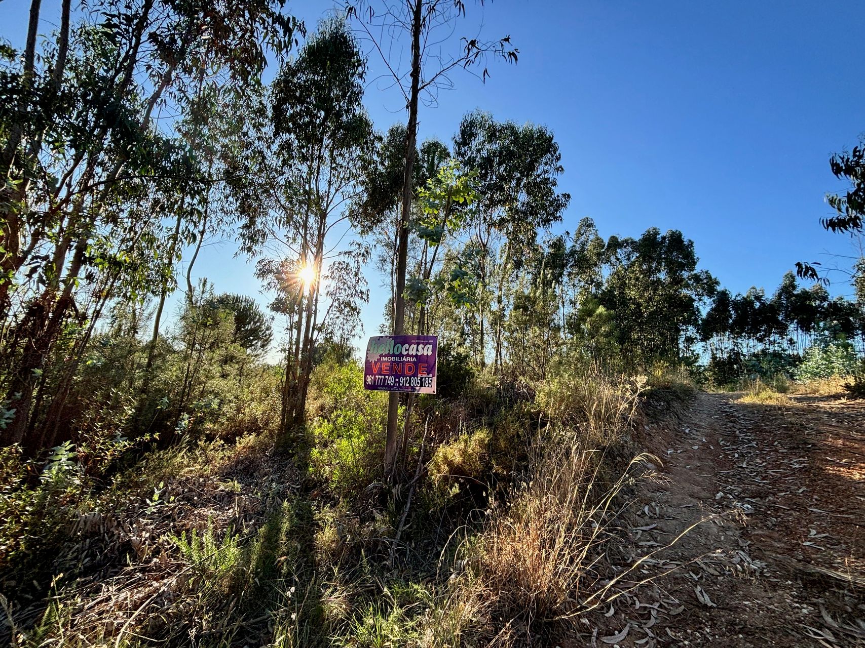 Terreno Florestal 4 / 5