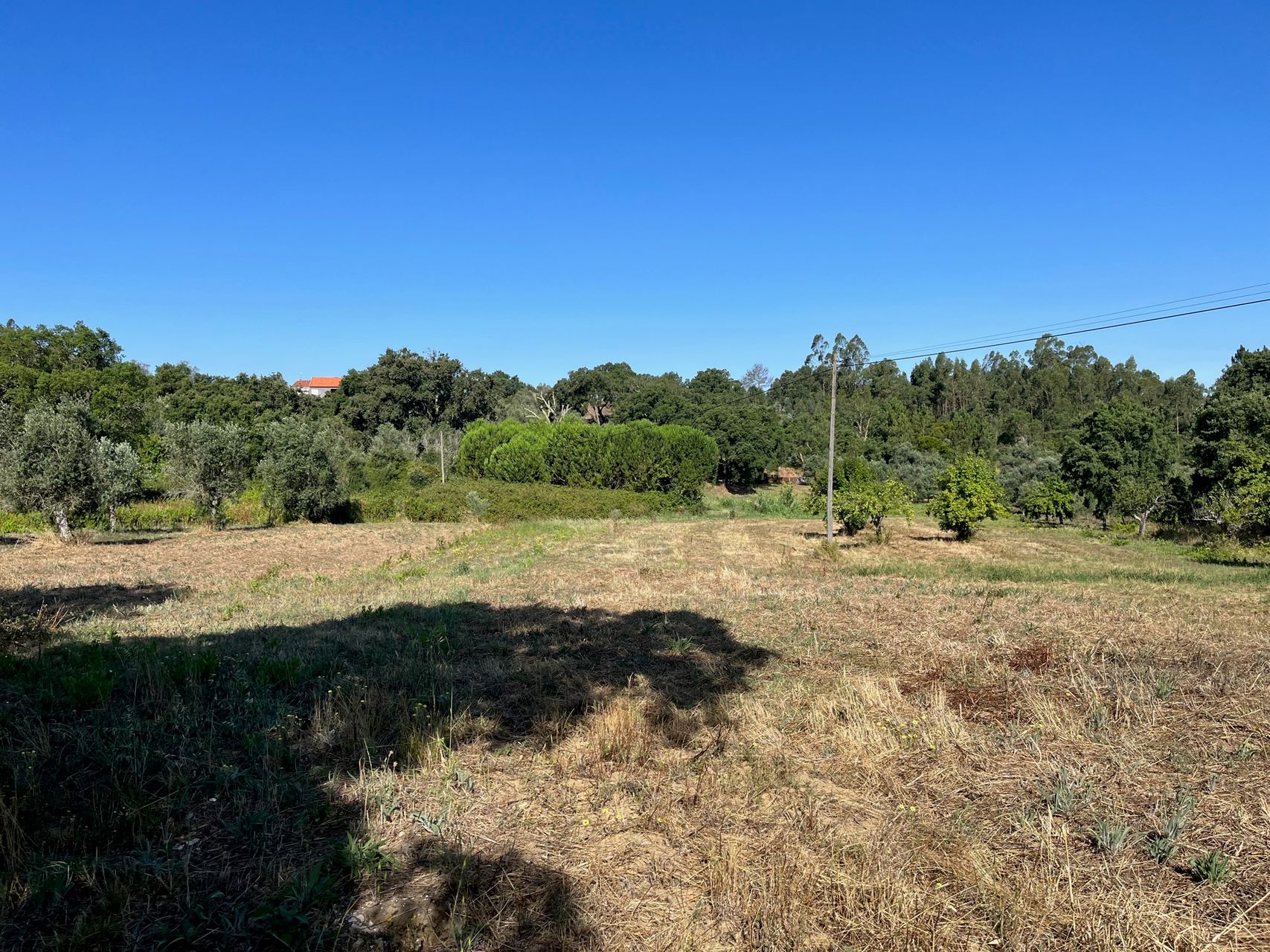 Terreno - agro-florestal 3 / 5