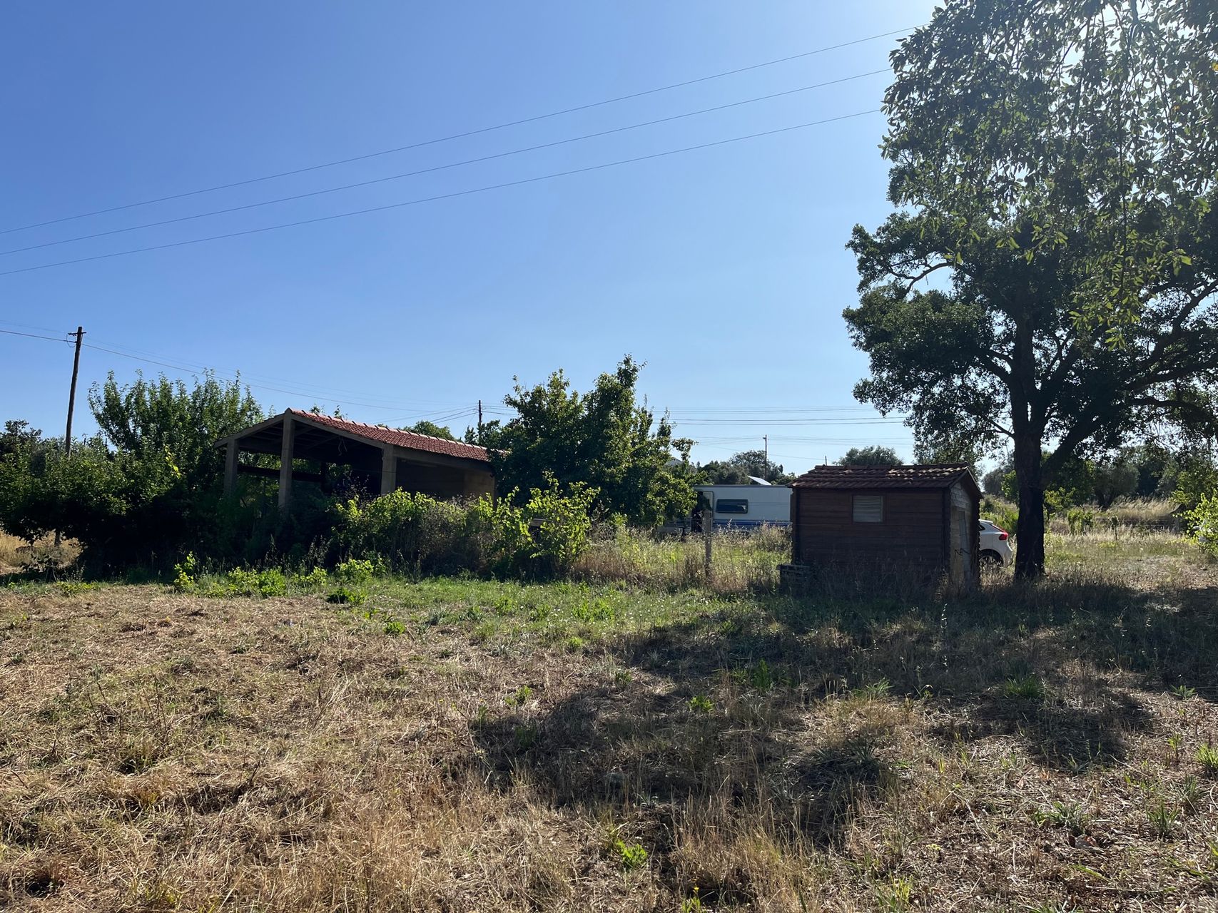 Terreno - agro-florestal 4 / 5