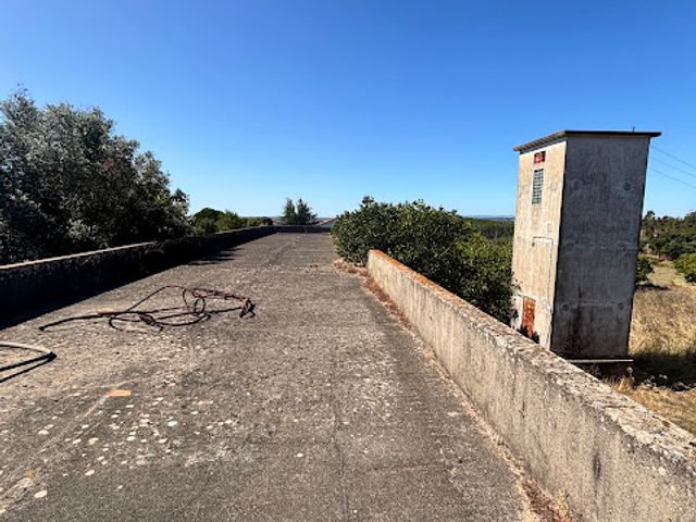 Quinta a 8km de Tomar 2 / 5