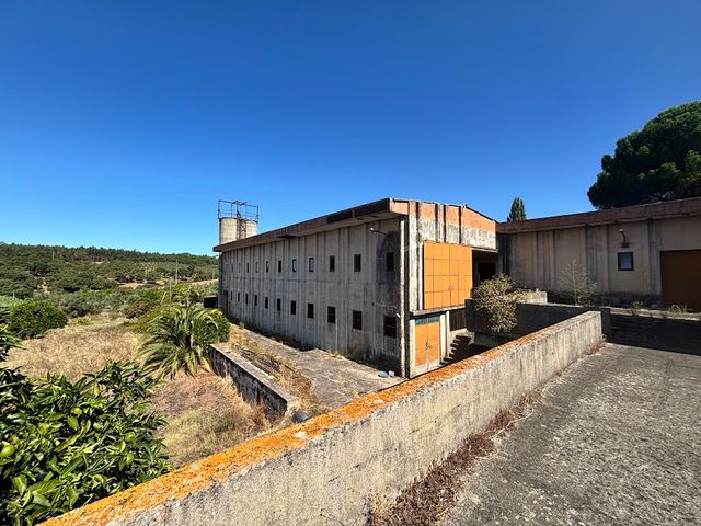 Quinta a 8km de Tomar 3 / 5