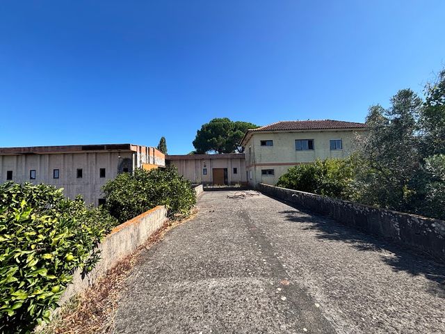 Quinta a 8km de Tomar 4 / 5
