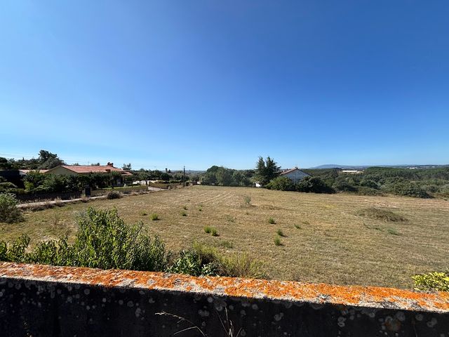 Quinta a 8km de Tomar 5 / 5