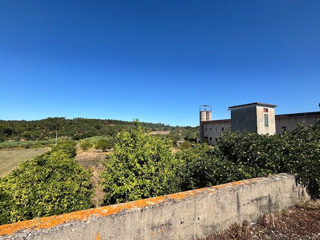 Quinta a 8km de Tomar 1 / 5