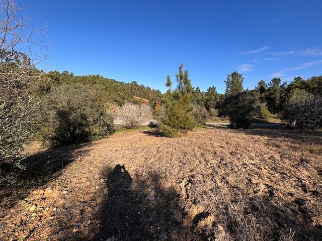 Terreno Florestal 5 / 5