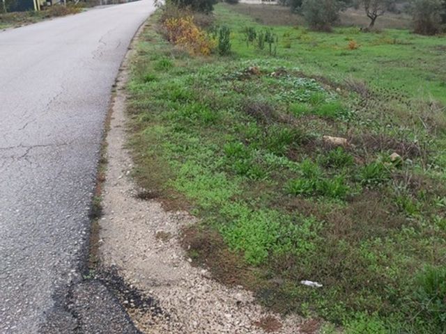 lote de terreno p/construção, a 5 minutos da Barragem Castelo Bode 2 / 5