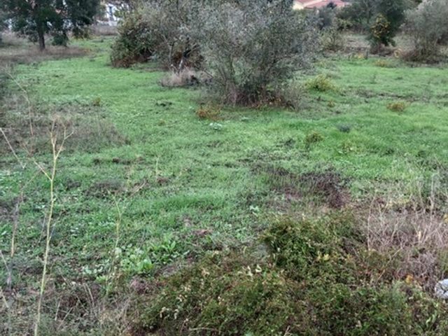 lote de terreno p/construção, a 5 minutos da Barragem Castelo Bode 5 / 5