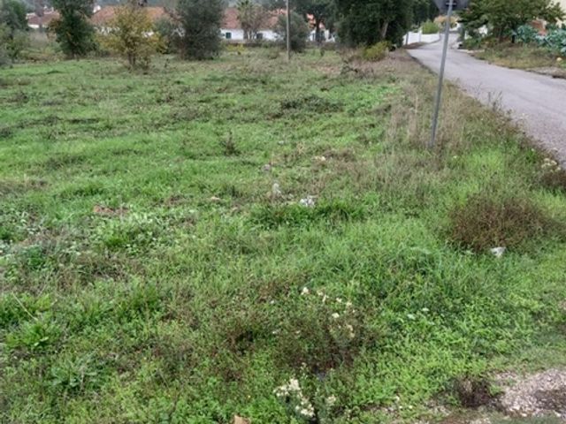lote de terreno p/construção, a 5 minutos da Barragem Castelo Bode 3 / 5